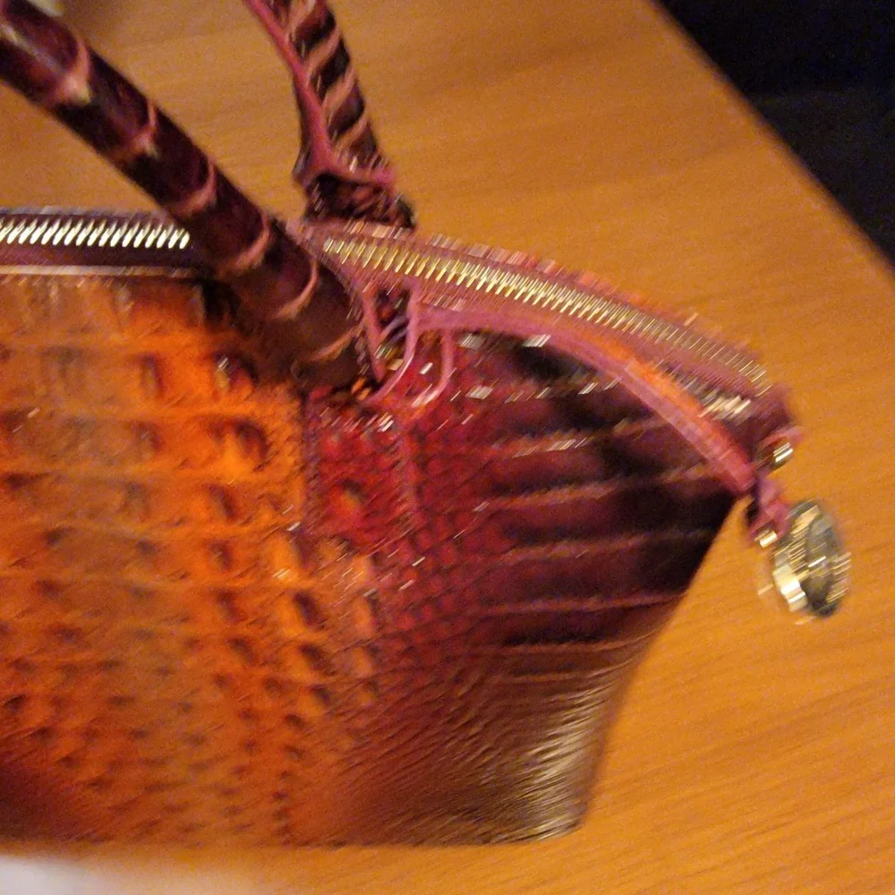 Brahmin nwt large
